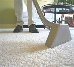 Carpet Cleaning Arlington 