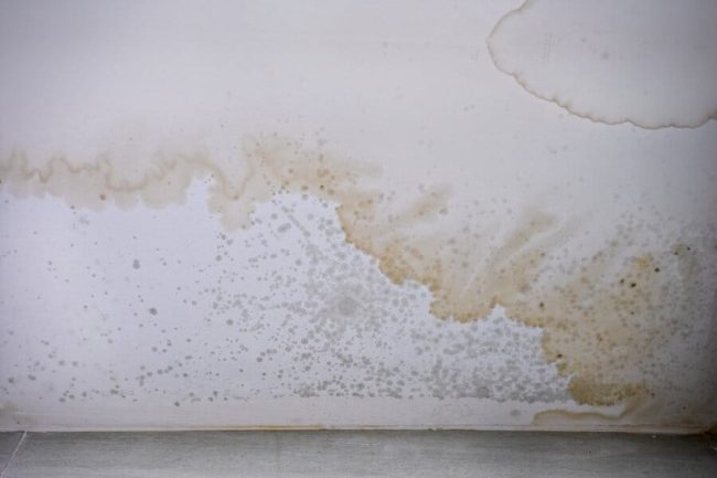 mould mould