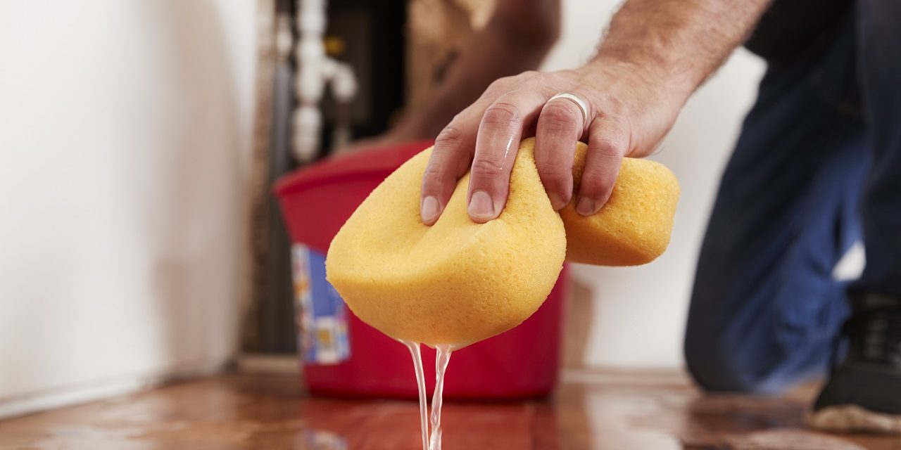 mopping mopping