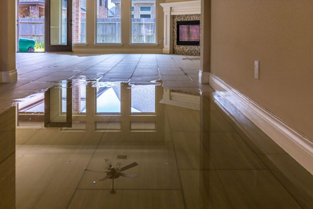 What to Do Immediately After Discovering Water Damage