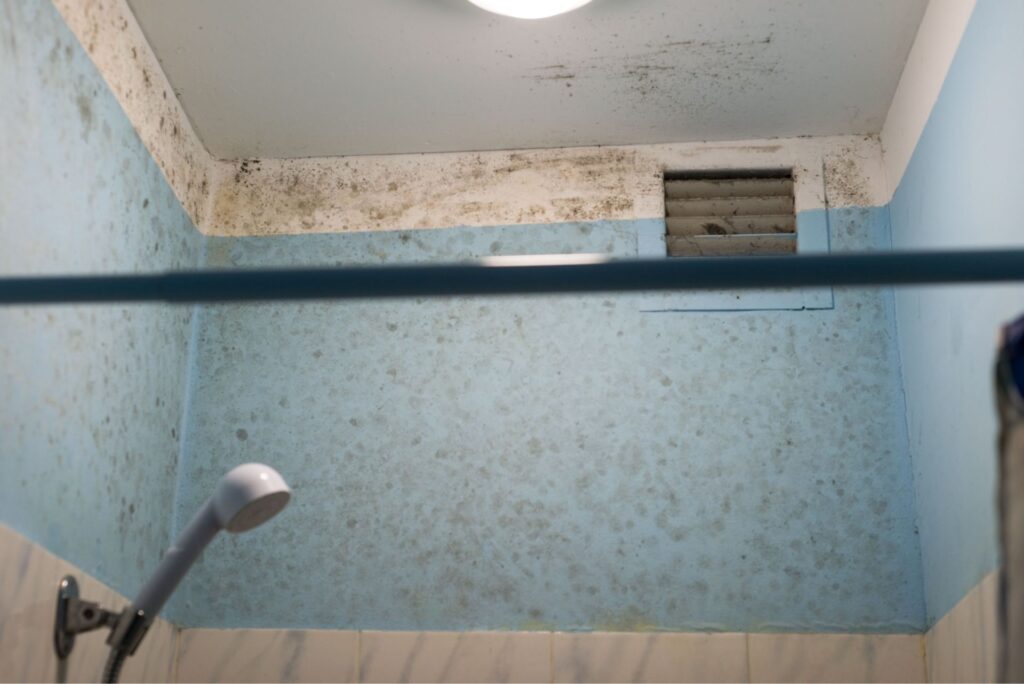 Protecting Your Bathroom From Mold Growth